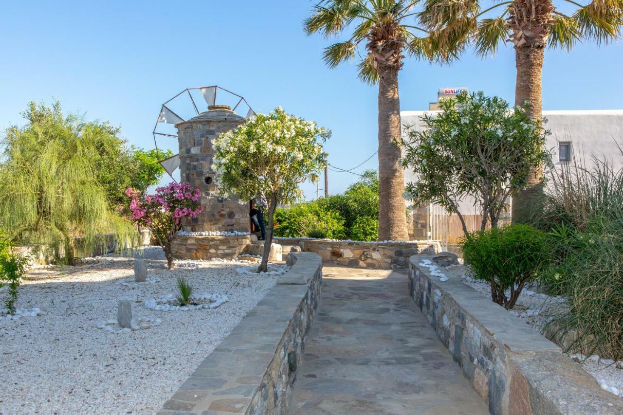 איוס פרוקופיוס Thea Suites Naxos מראה חיצוני תמונה